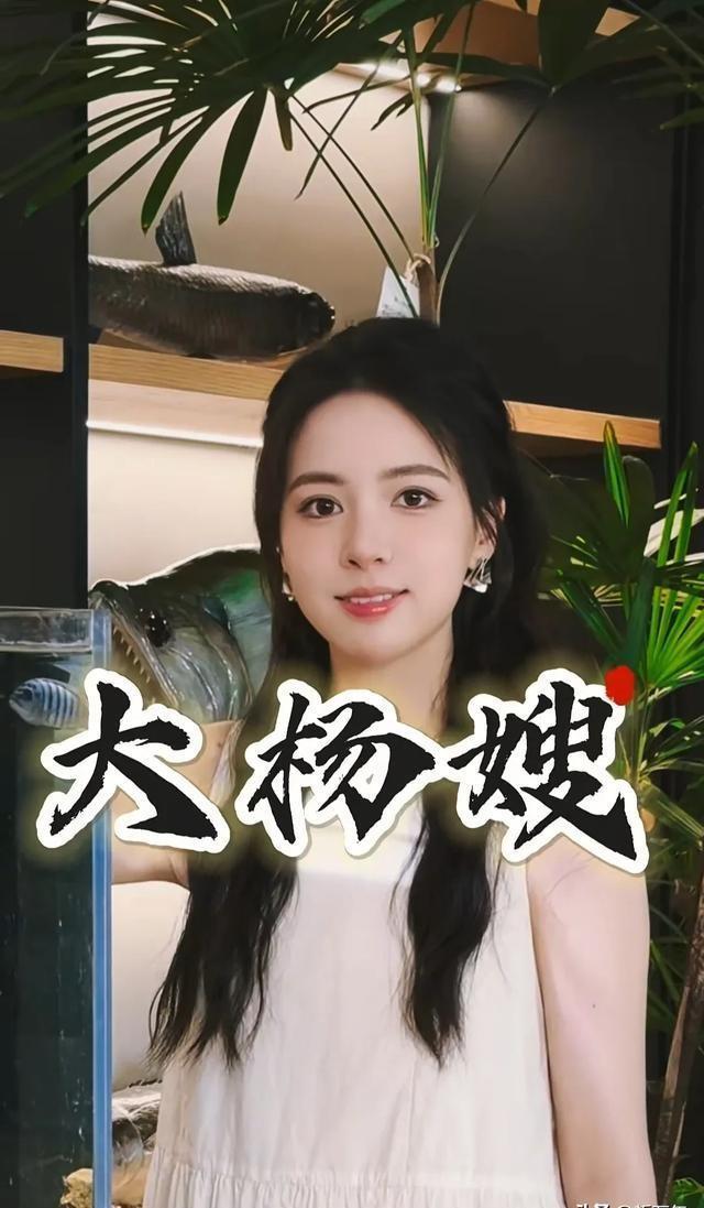 三只羊头部美女主播合集，小杨哥亲自挑选，每一位都是绝丽佳人