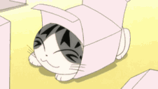 超人气公开课再度来袭!苏曼喊你看甜甜起司猫