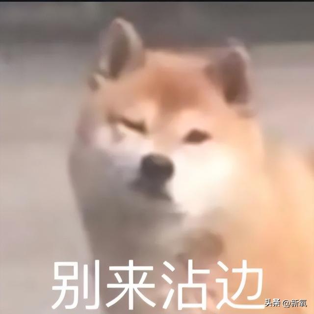 古早网红uu和异性好友合照被嘴碎,回怼:难道我还要守孝三年?