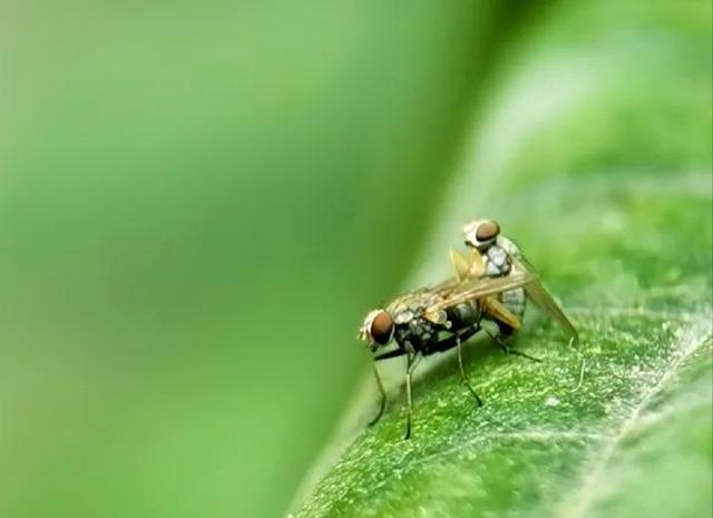 很奇怪，为什么大家总是更热衷于被“禁止”的事物？