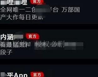 麻豆传媒被抓拍淫秽视频,女星收入惊人甚至超过日本女星