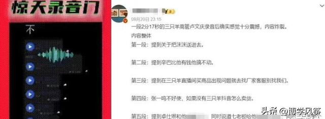 卢老板的眼光还真不赖，三只羊的这13位女主播一个比一个有韵味