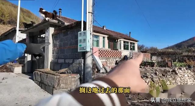 后续！东北雨姐最新近况：常年雇人干活，村民评价两极分化严重