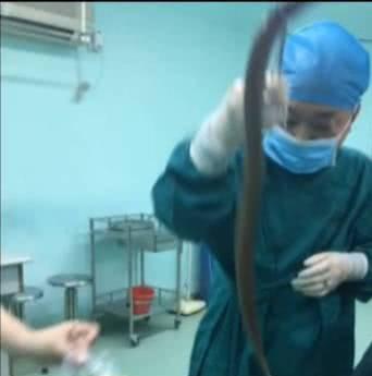 听信“偏方”治肺癌,女子生吞一瓶蛆虫!奇葩偏方还有鳝鱼塞肛门...