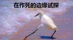 女主播都是代打(双手离开键盘打LOL？直播一姐代打被实锤，人气跌到只能做陪玩？)