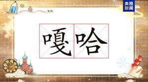 东北美女主播唱嗑儿(长在笑点上的东北话为啥如此魔性？快来学一学)