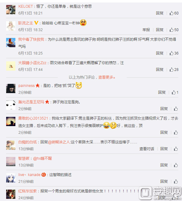 韩国女主播被狮子狗抓哭最新进展 并不是他