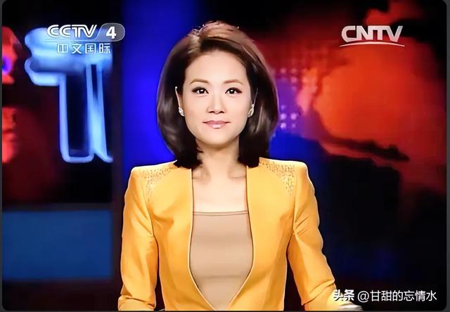 央视中文国际频道:十位新闻美女主播的风采与魅力