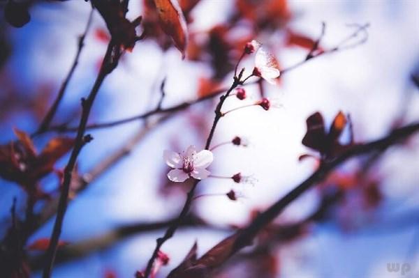 余生不易，愿你我都可以学会柔软而慈悲地好好活着