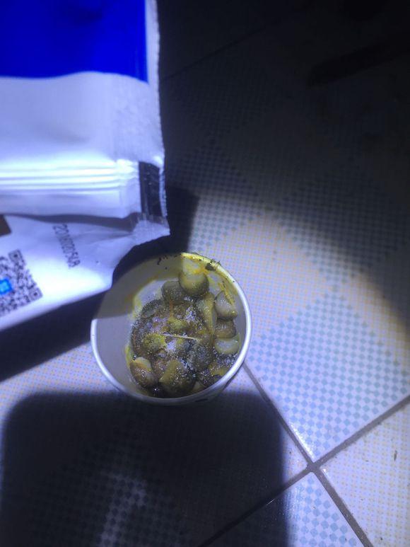 小池塘玩直播，教你怎么用可乐瓶抓黄鳝