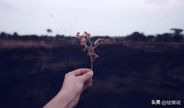 汪只是疯张兰是真没下限！直播账号被永久封禁，网友直呼大快人心