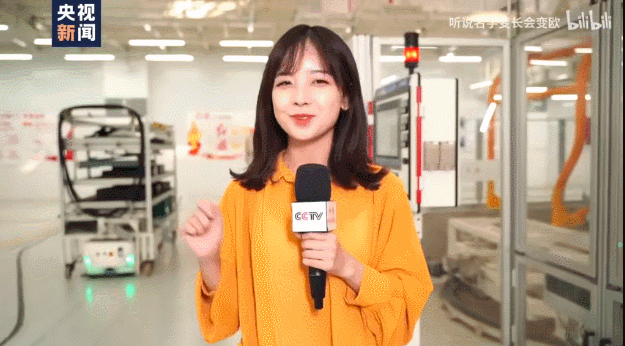 一夜涨粉200W，最美央视女主播王冰冰是什么来头？