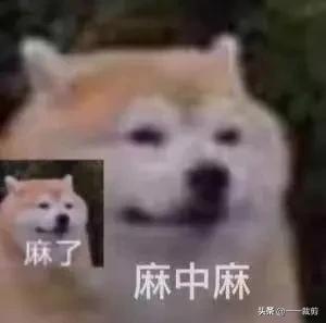 吴亦凡:爽死了。郑爽:凡死了