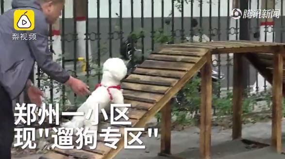 郑州一小区设遛狗专区 业主好评：避免随地大小便，小孩玩耍也更安全