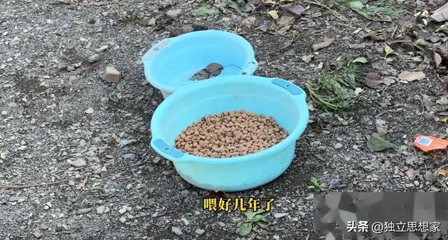 后续！东北雨姐最新近况：常年雇人干活，村民评价两极分化严重