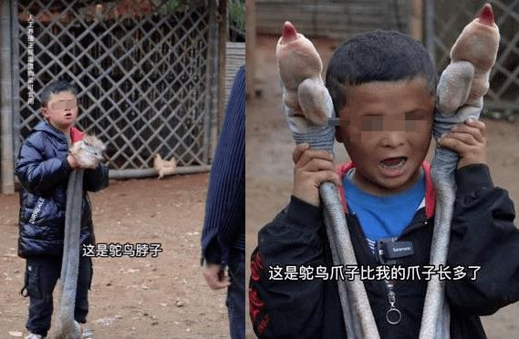 “小马云”回村吃饭直播：啃鸵鸟头鳄鱼肉！这太离谱了……