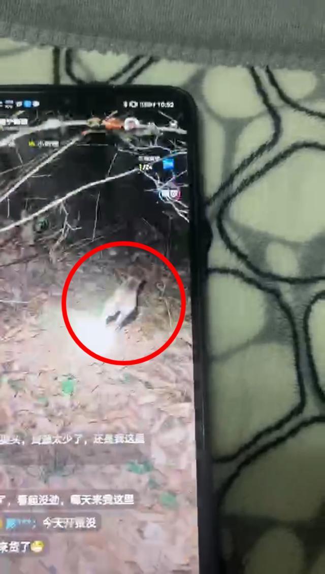 直播“打野”,四川遂宁一主播成功引起民警的关注