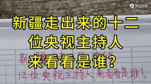 新疆电视台女主播(新疆走出来的十二位央视主持人，来看看是谁？)