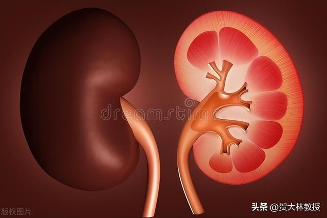 11岁男孩尿痛、血尿找不到病因，竟是尿道误塞多个磁力珠所致