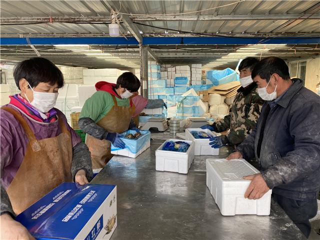 盘点2020丨牡蛎上了“网”,引来电商平台上门合作