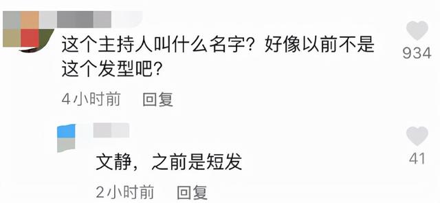 央视主持文静长发出镜播新闻,变化大被赞太漂亮,曾戴假短发多年