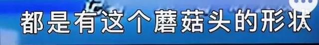 史上最单纯的女记者，但却为此社死一辈子