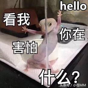 女装男主播被亲妈gank：你还娶不娶老婆啦？让你爸揍你！