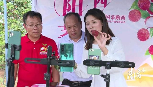 红荔飘香!网络直播助推阳西荔枝产销对接