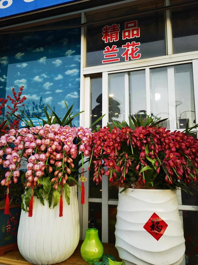 带花主播嗓子都喊冒烟了,直播一场发走2000单,高峰还会持续