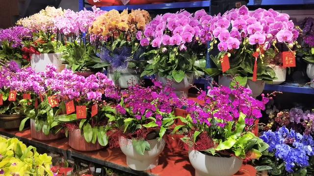 带花主播嗓子都喊冒烟了,直播一场发走2000单,高峰还会持续