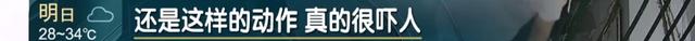 大半夜,上海一小区惊现神秘男子,行迹太诡异!警方介入,真相绝对猜不到……