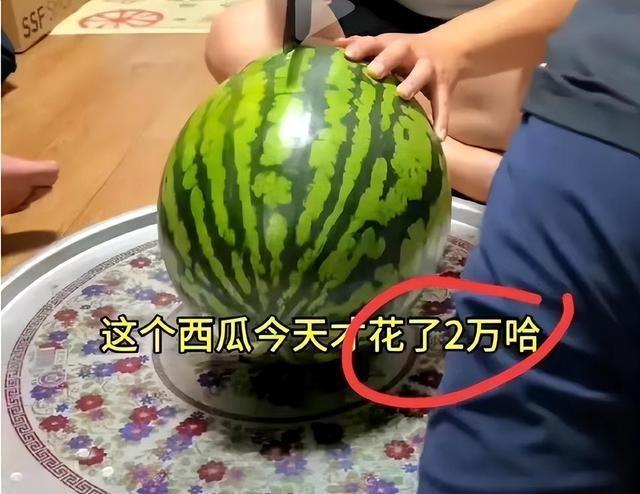 笑死了,韩博主为了辟谣韩国人吃不起西瓜,竟直播现场开瓜
