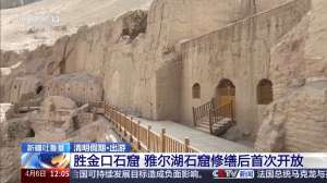 北上赏花 南下踏青 尽赏千里不同春