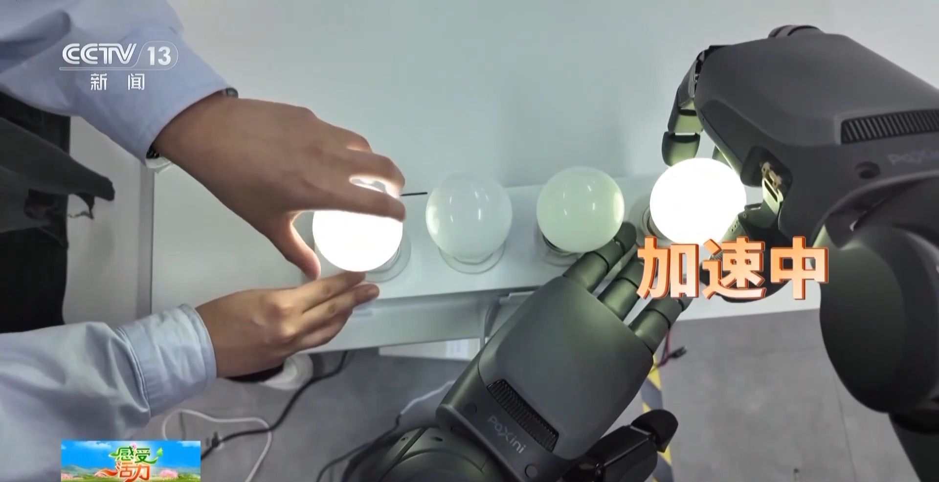 感受活力丨“听说读算”样样精通 人形机器人手巧“心”也灵