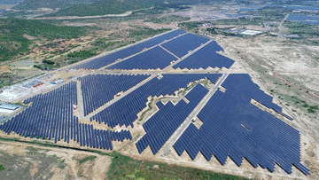 微视频丨“同志加兄弟”的深厚情谊