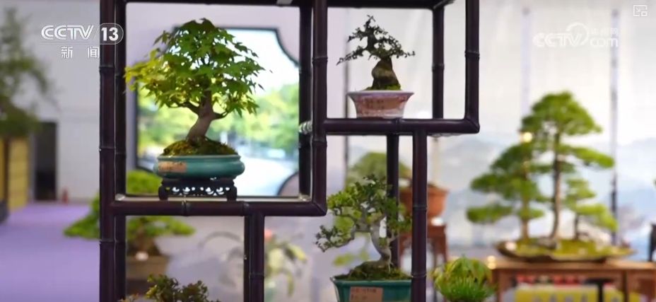 花园经济、以旧换新、汽车改装……透过新消费图鉴看经济“更”新活力