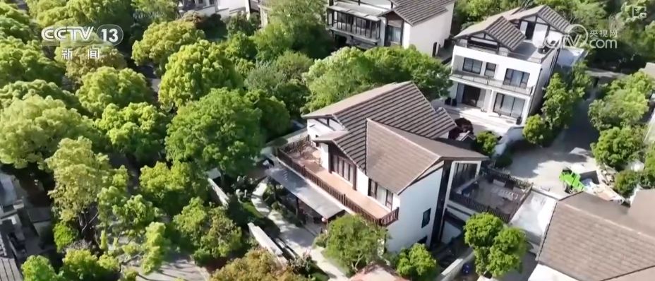 花园经济、以旧换新、汽车改装……透过新消费图鉴看经济“更”新活力