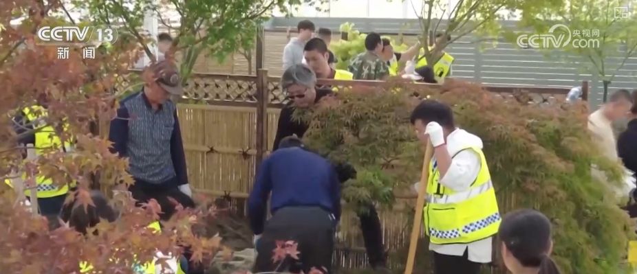 花园经济、以旧换新、汽车改装……透过新消费图鉴看经济“更”新活力