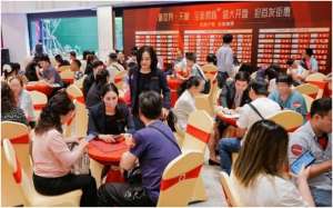 新世界物业销售持续增长,吸金近250亿港元完成全年目标逾95%