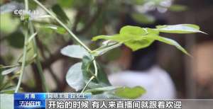 主播拒绝“擦边”要赔50万？离家30年想继承遗产？法院判决大快人心→