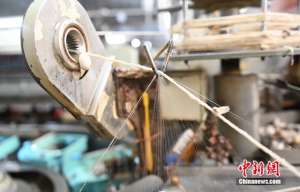 小蚕虫变身“产业龙”,广西这座小城如何实现“破茧重生”?