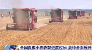 共享晒粮点、快速烘干 、24小时为农服务 各地推出暖心举措服务夏收