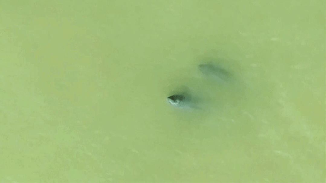 人这一辈子,一定要去一趟南昌看“微笑天使”!