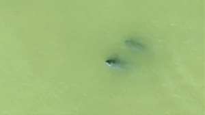 人这一辈子,一定要去一趟南昌看“微笑天使”!